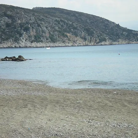 Daire Christina Drepano (Argolis)