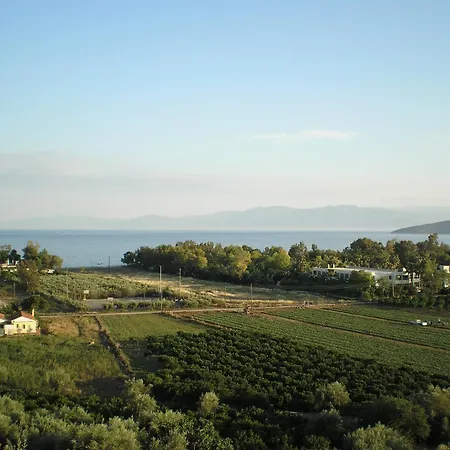 Christina Drepano (Argolis)