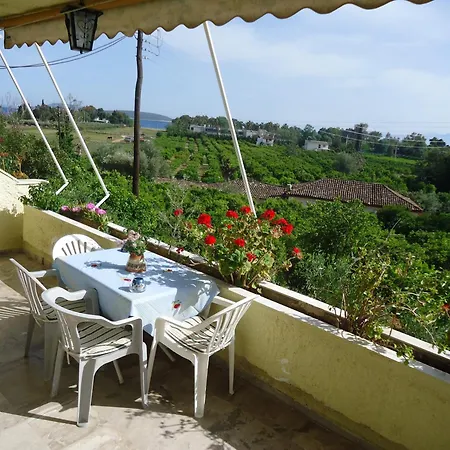 Christina * Дрепанон