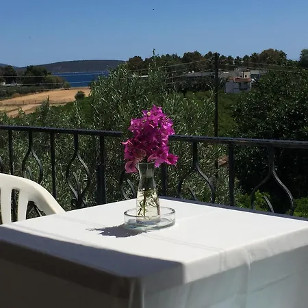 Daire Christina Drepano (Argolis)