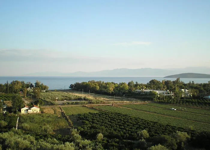 Christina Drepano (Argolis)